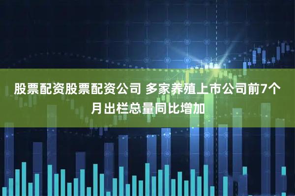 股票配资股票配资公司 多家养殖上市公司前7个月出栏总量同比增加