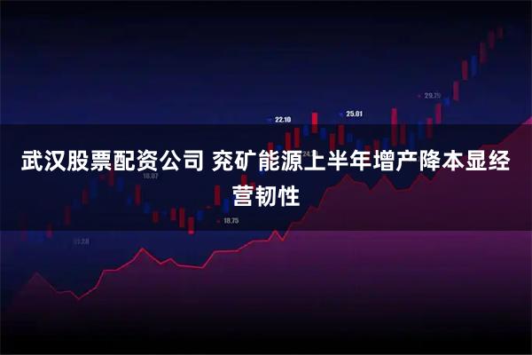 武汉股票配资公司 兖矿能源上半年增产降本显经营韧性