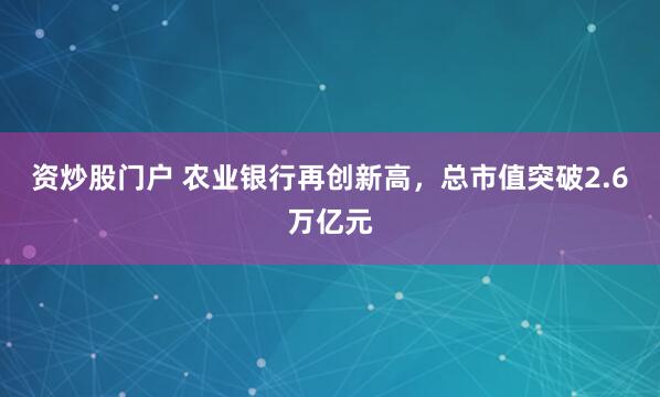 资炒股门户 农业银行再创新高，总市值突破2.6万亿元