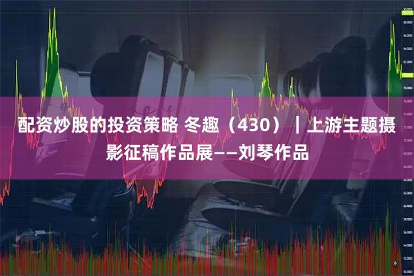 配资炒股的投资策略 冬趣（430）｜上游主题摄影征稿作品展——刘琴作品