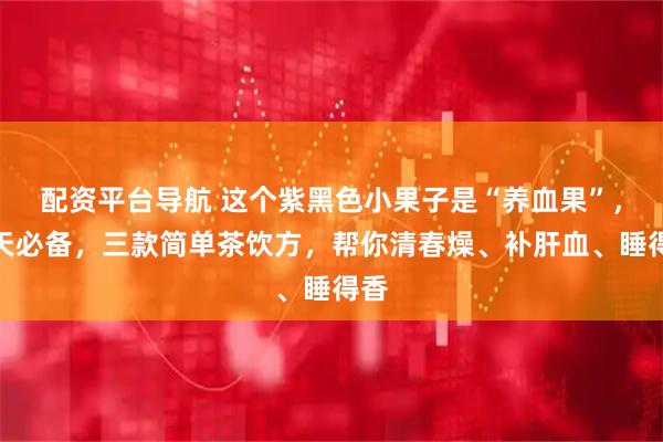 配资平台导航 这个紫黑色小果子是“养血果”，春天必备，三款简单茶饮方，帮你清春燥、补肝血、睡得香