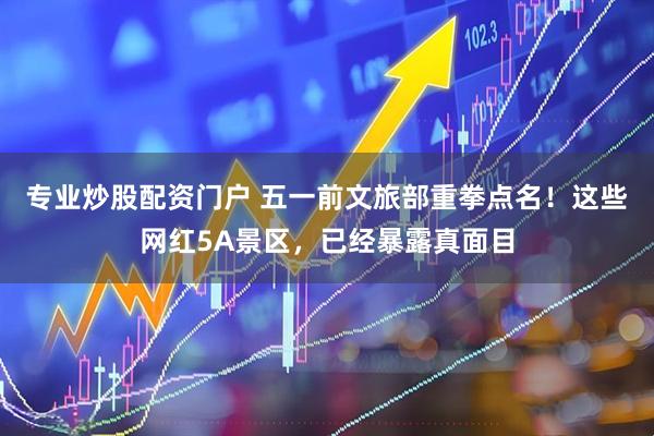 专业炒股配资门户 五一前文旅部重拳点名！这些网红5A景区，已经暴露真面目