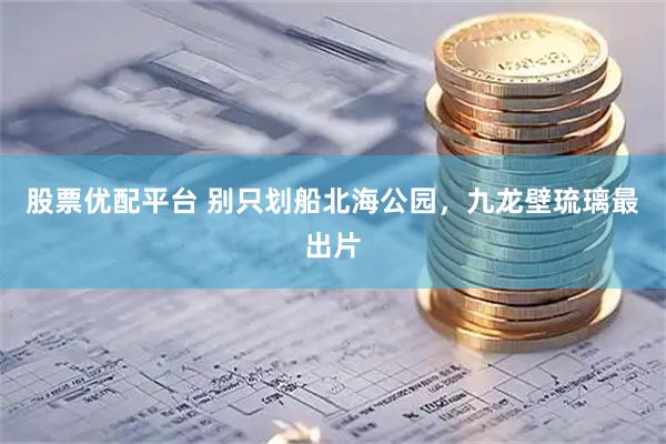 股票优配平台 别只划船北海公园,九龙壁琉璃最出片